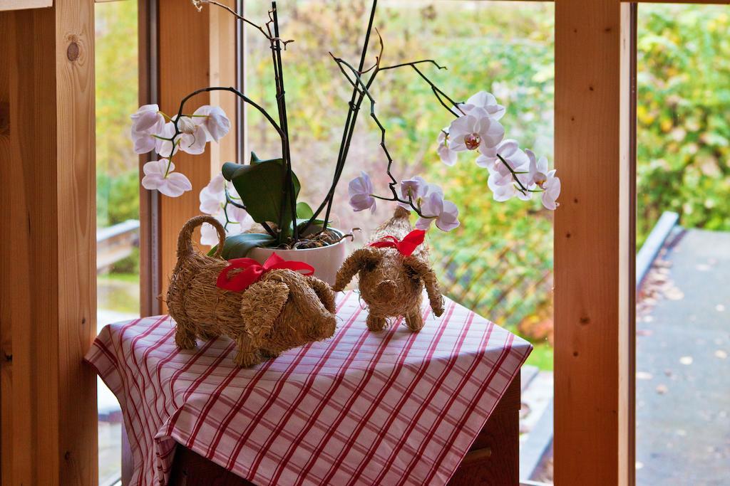 Appartement Ehammer